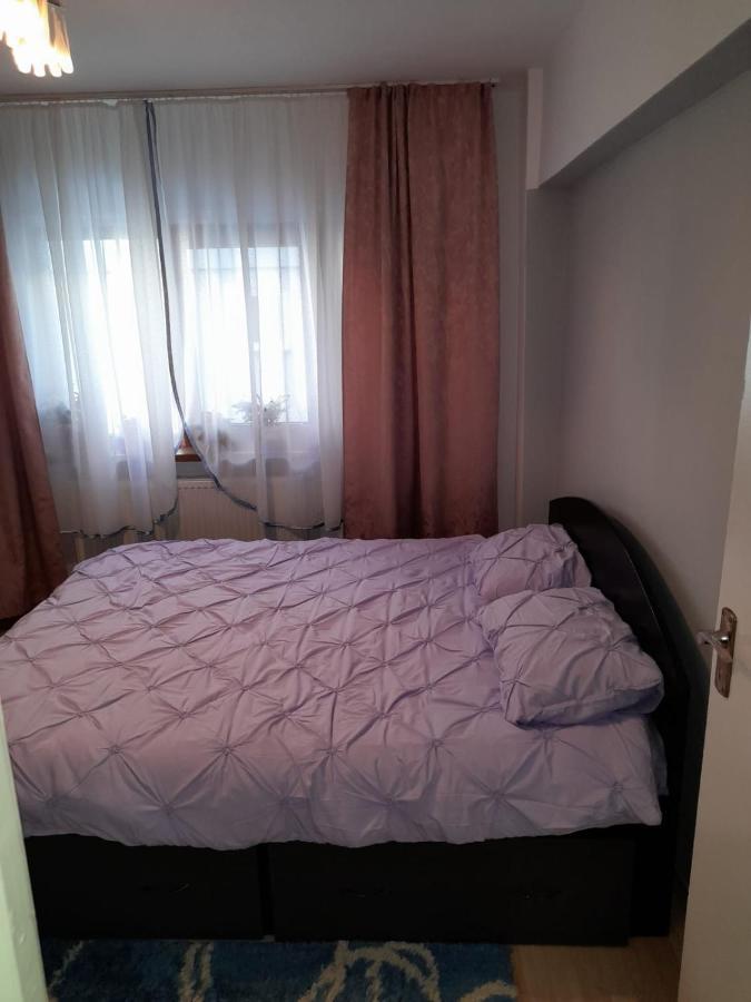 Apartament Straja - Lupeni  Экстерьер фото